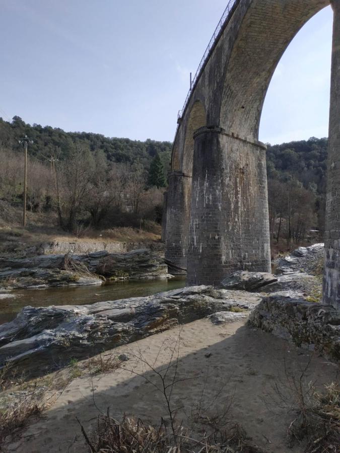 Maison au cœur des Cévennes Méridionales Saint-André-de-Majencoules Extérieur photo