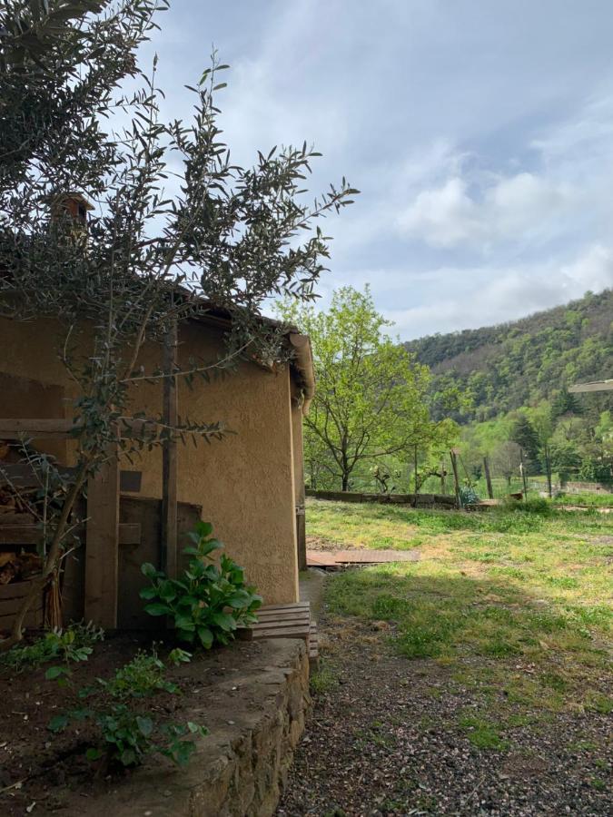 Maison au cœur des Cévennes Méridionales Saint-André-de-Majencoules Extérieur photo